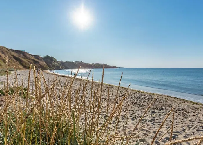 Costa Calma Ахелой